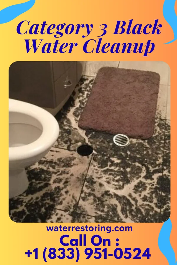 Category 3 Black Water Cleanup in North Valley Stream, NY