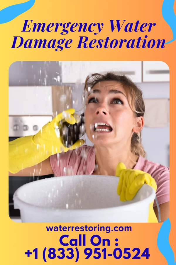 Emergency Water Damage Restoration in North Valley Stream, NY