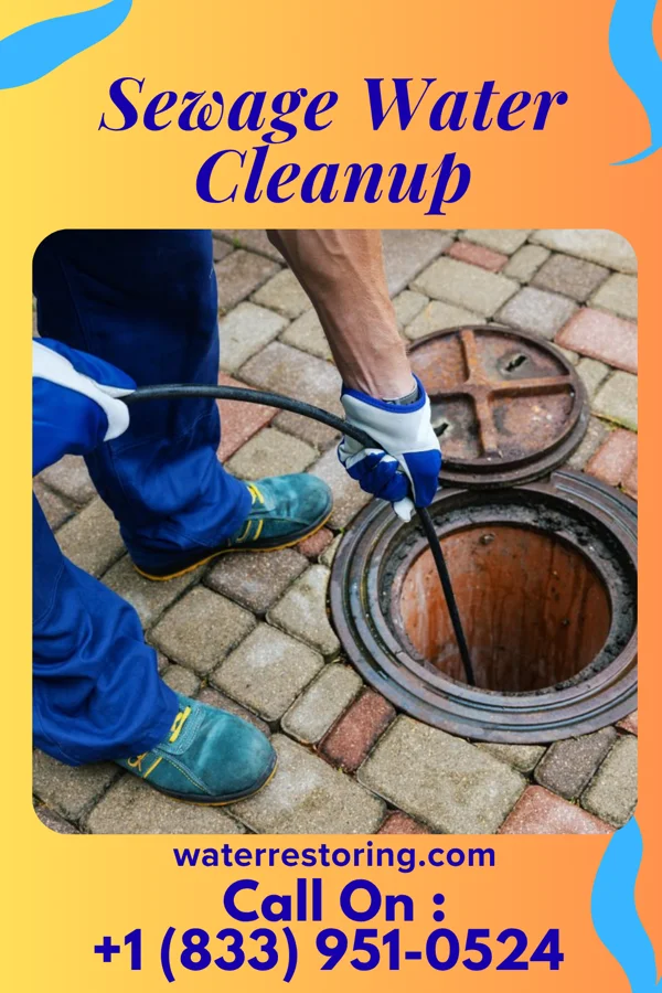 Sewage Water Cleanup in North Valley Stream, NY